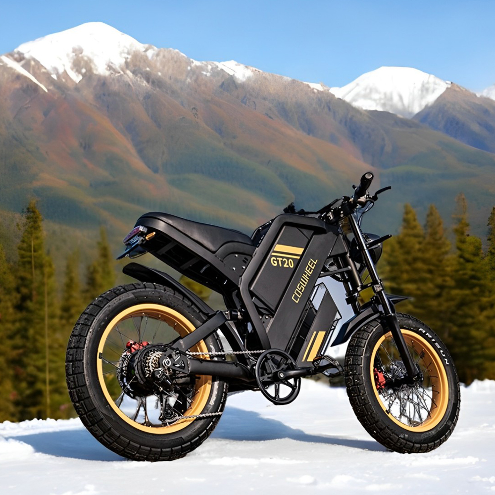 Coswheel Electric bike for Adu – обзор и цена Motorcycle Gear Ratings